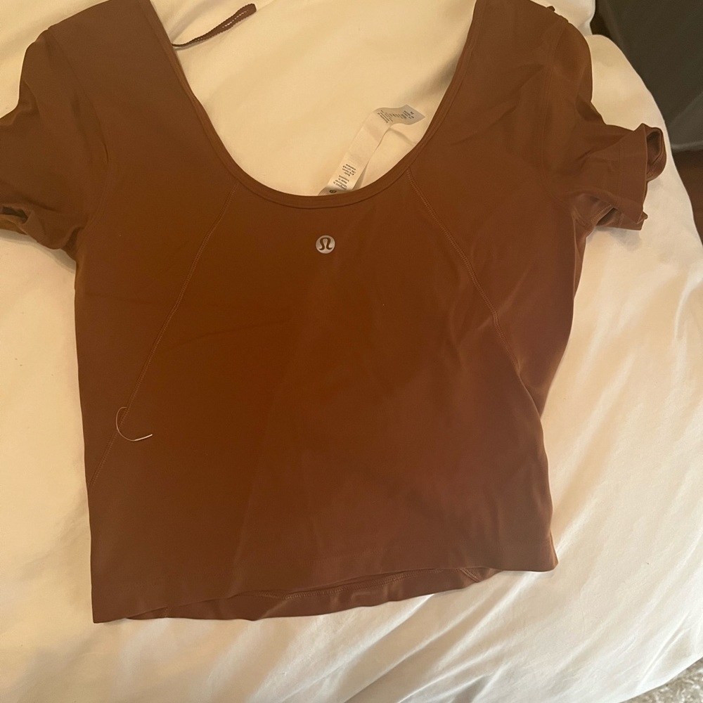 Size 6 align t shirt roasted brown